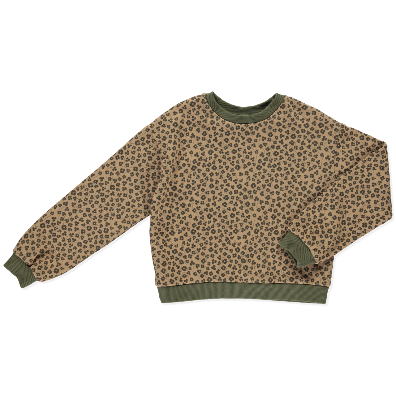 cropped sweatshirt printed virginia | peter jo