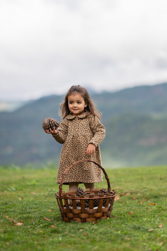 organic cotton baby dress